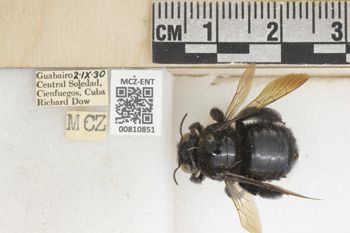 Media type: image;   Entomology 810851 Aspect: labels